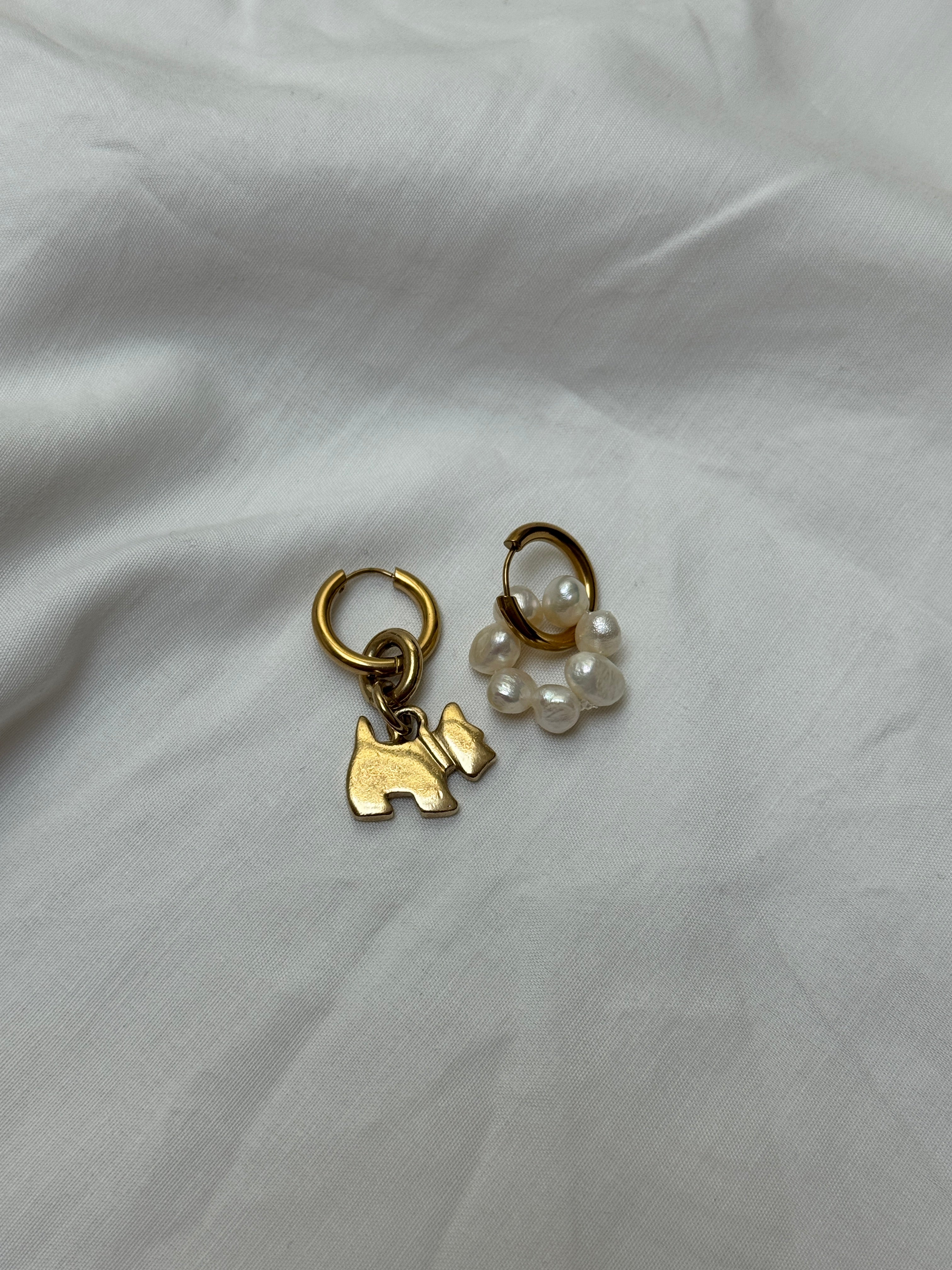 Mono créole dorée & petit chien Agatha