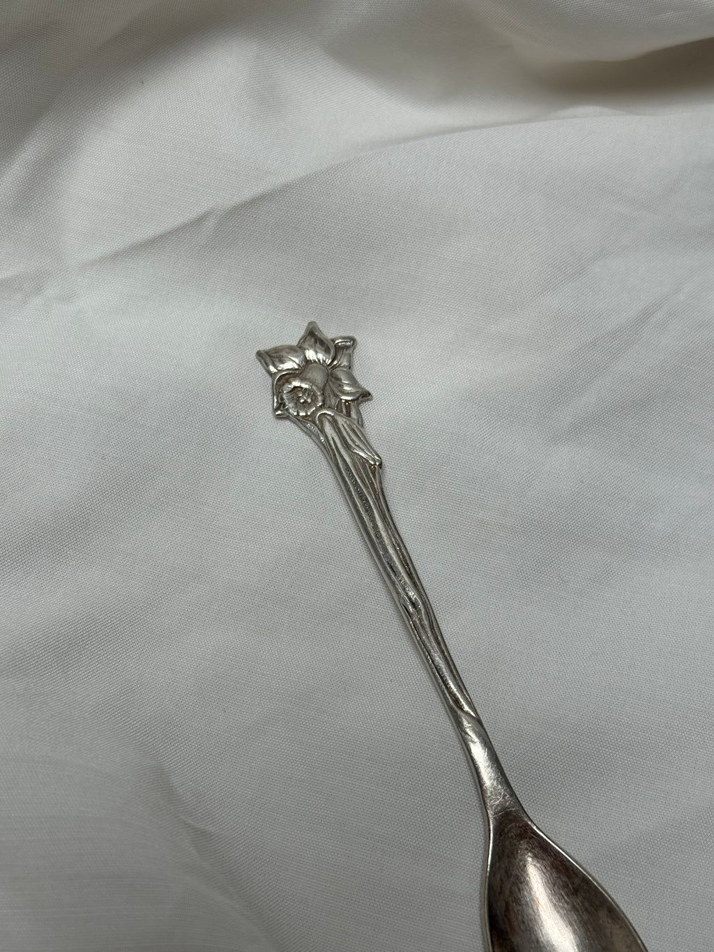 Bague jonquille argentée