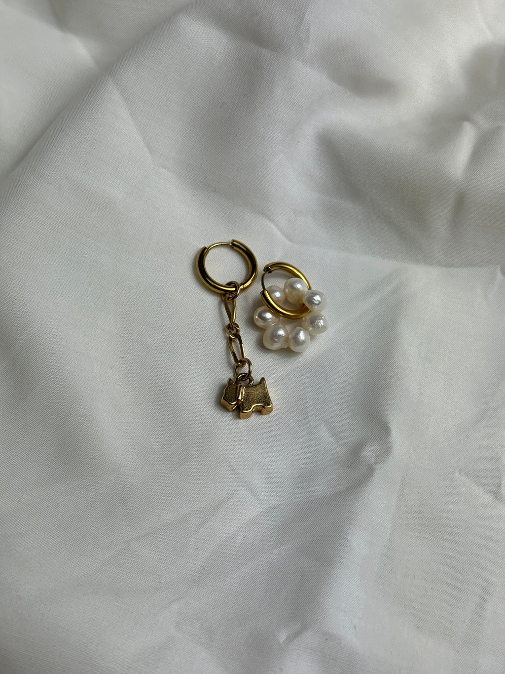 Mono créole dorée & petit chien