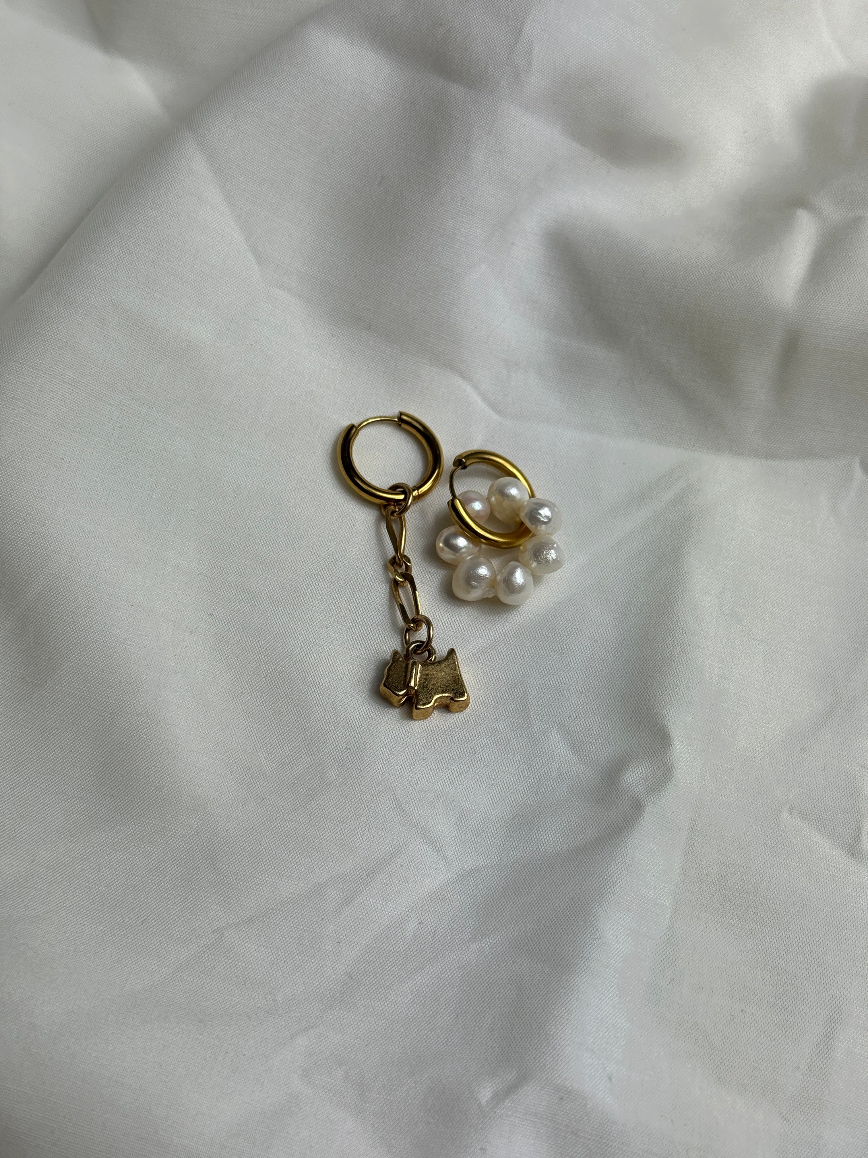 Mono créole dorée & petit chien